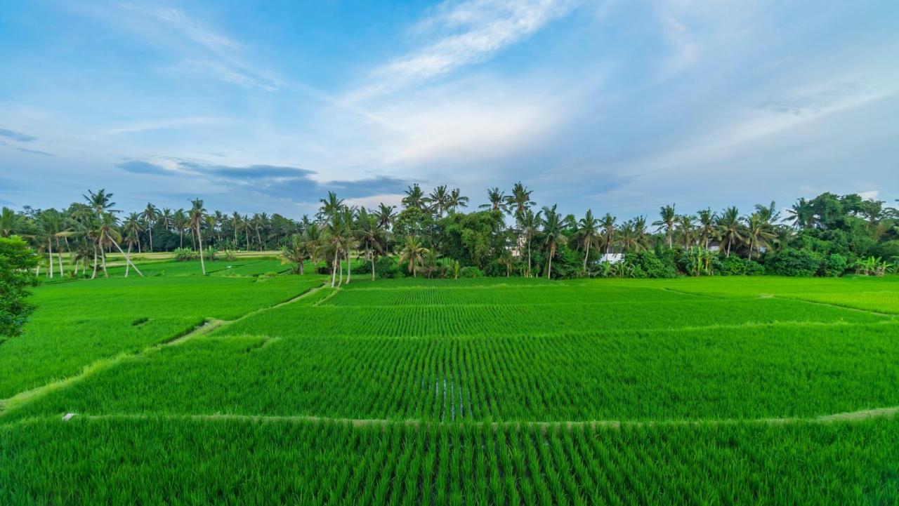Maruan Sari Lejlighed Ubud Eksteriør billede